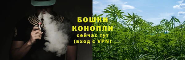 СК Богородицк