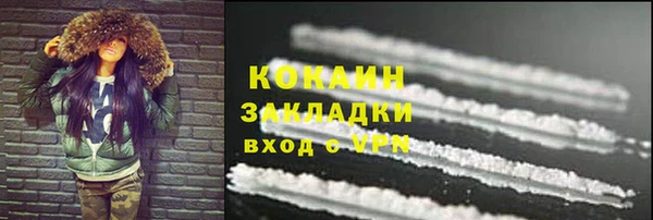 молекула духа Богданович