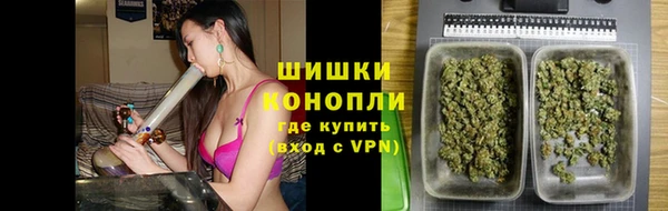 молекула духа Богданович