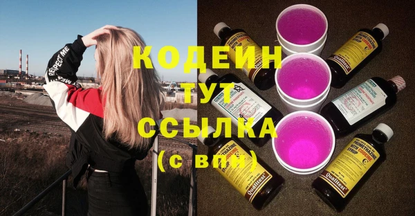 стаф Богородск