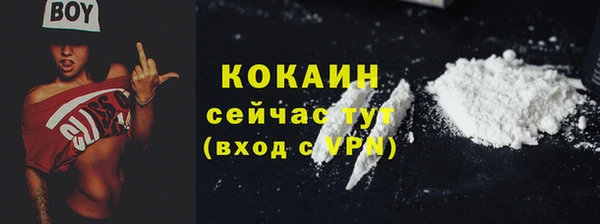молекула духа Богданович