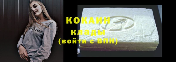 молекула духа Богданович