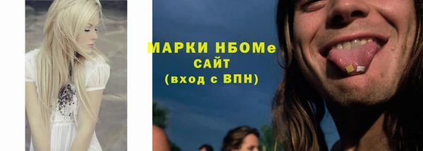 молекула духа Богданович