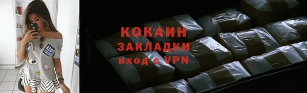 молекула духа Богданович