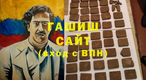 молекула духа Богданович