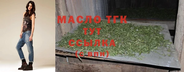молекула духа Богданович