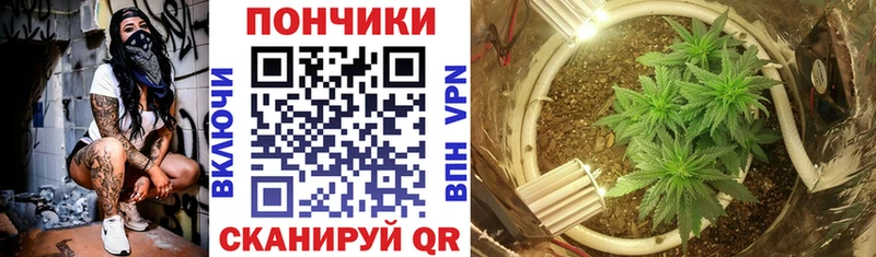 Купить  Черепаново  Канабис Bruce Banner 